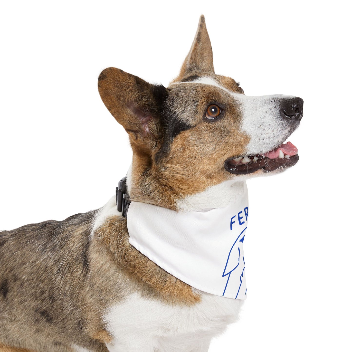 Feral Pet Bandana Collar | Funny Dog Accessory for Stylish Pets, Dog Fashion, Pet Gift, Cute Dog Apparel, Trendy Pet Wear
