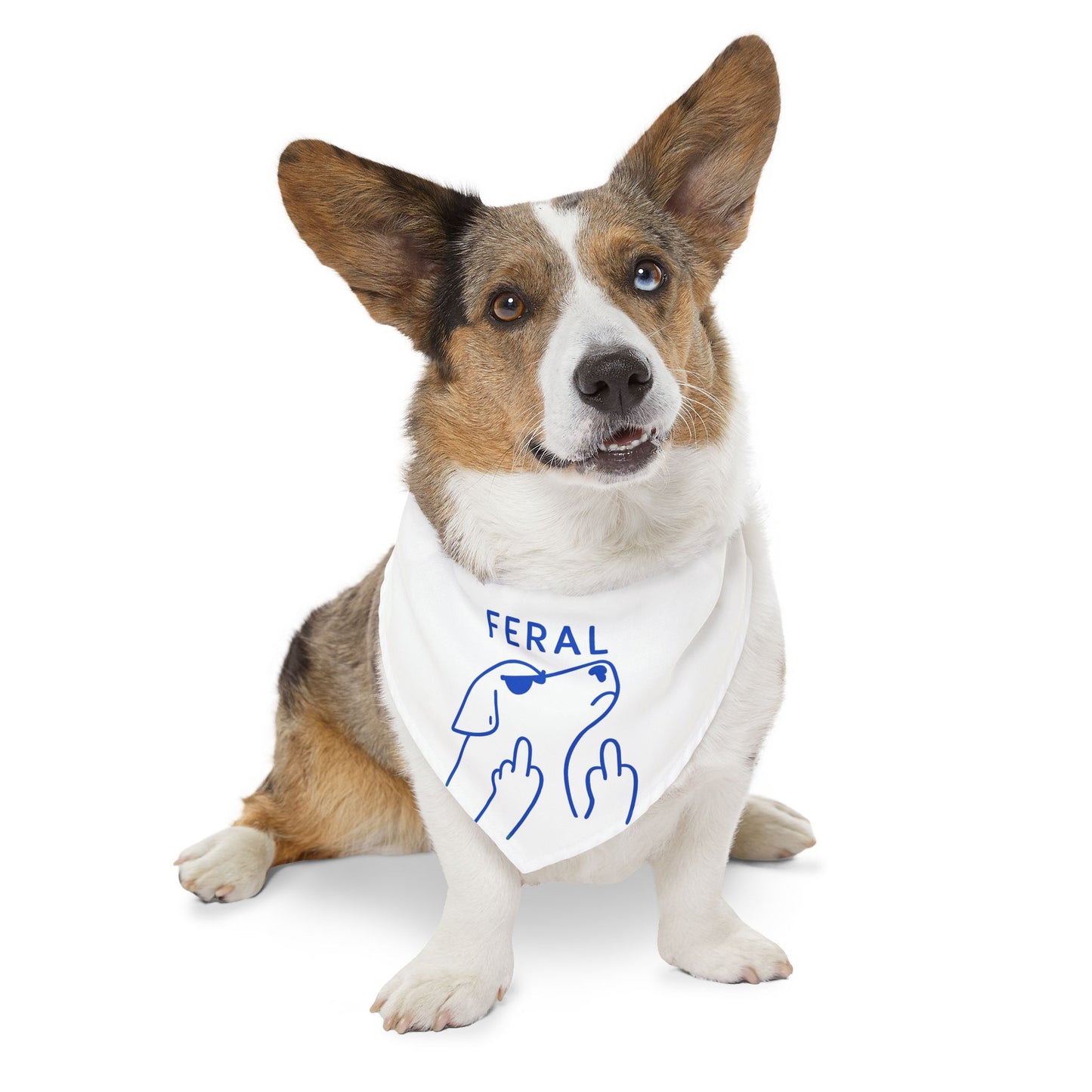 Feral Pet Bandana Collar | Funny Dog Accessory for Stylish Pets, Dog Fashion, Pet Gift, Cute Dog Apparel, Trendy Pet Wear